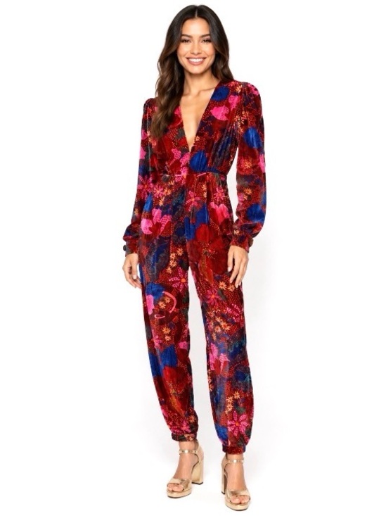 FARM Rio Pants - FARM Rio, Floral Velvet Jumpsuit Long Sleeve Deep V, Size L EUC